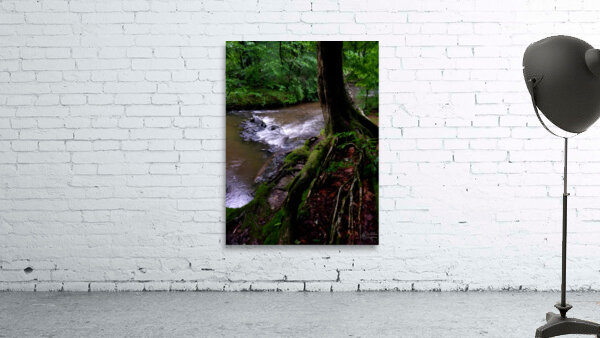 Minister Creek Riffle 1 Wall Preview