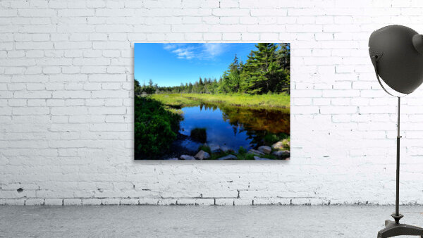 Acadia Wetland by Earthshine Emporium