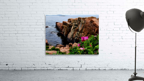 Acadia Coast by Earthshine Emporium