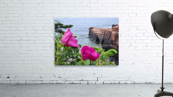 Acadia Point Wall Preview
