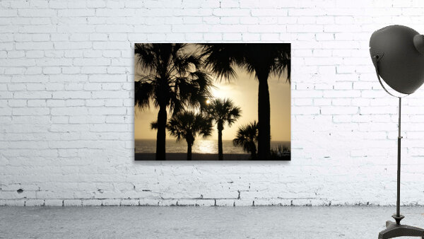 Palm Trees Silhouette by Earthshine Emporium