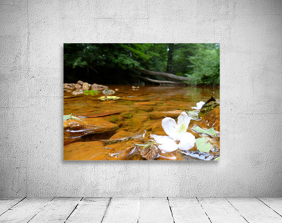 Carnahan Run Wall Preview