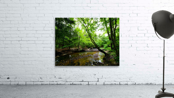 Laurel Run Wall Preview