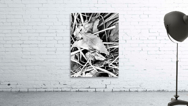 Frosty Oak Leaf Wall Preview