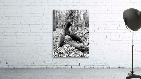 Natural A Wall Preview