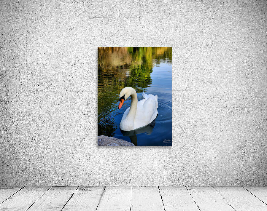 Swan 1 Wall Preview
