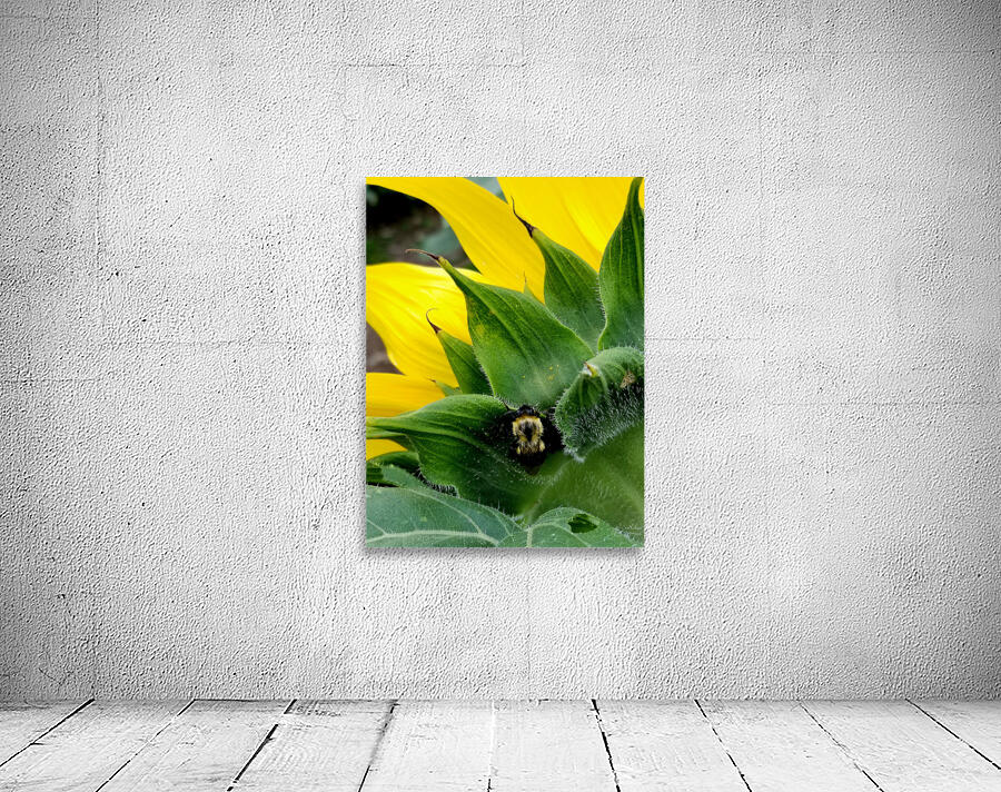 Sunflower Bumblebee Wall Preview