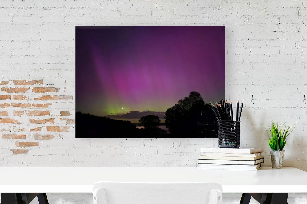 Aurora 6 Reproduction