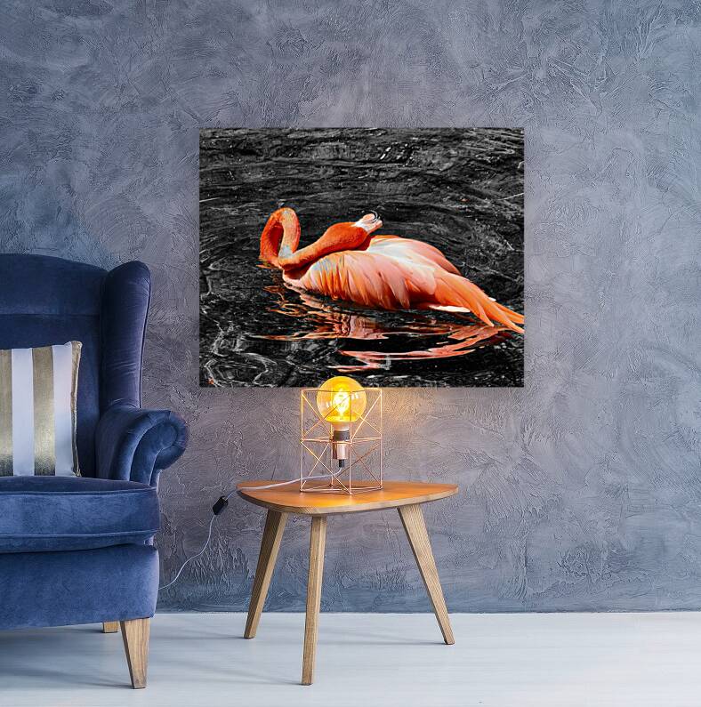 Flamingo Grooming Reproduction