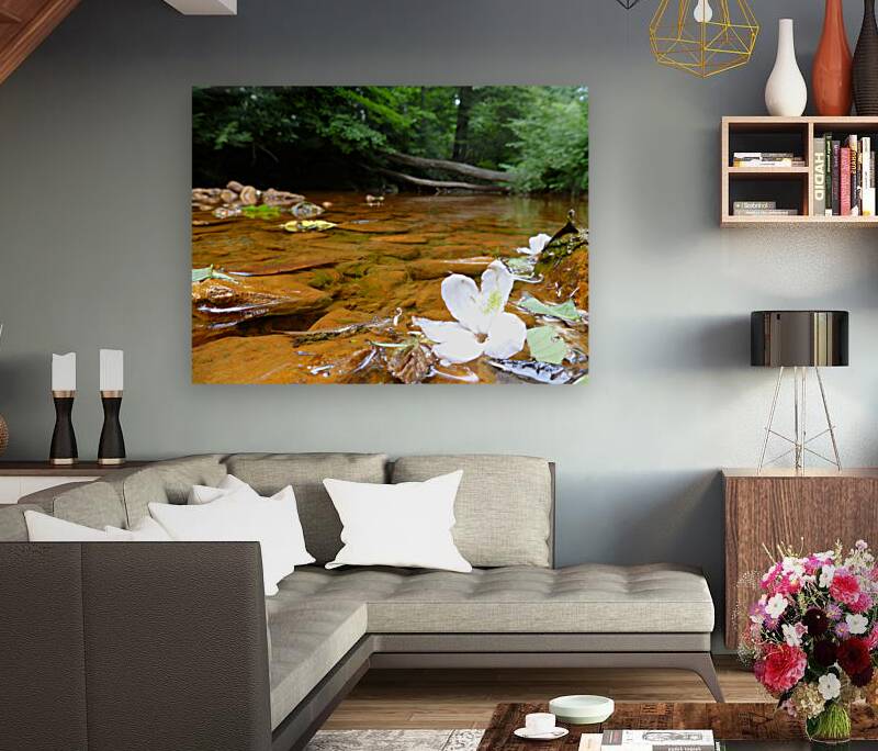 Carnahan Run Reproduction