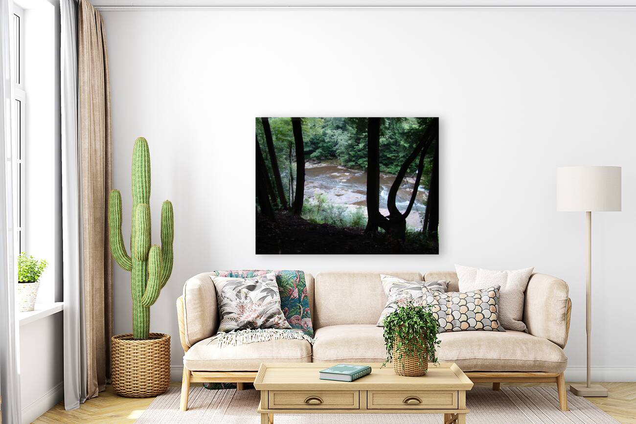 Stonycreek River Headwaters Reproduction