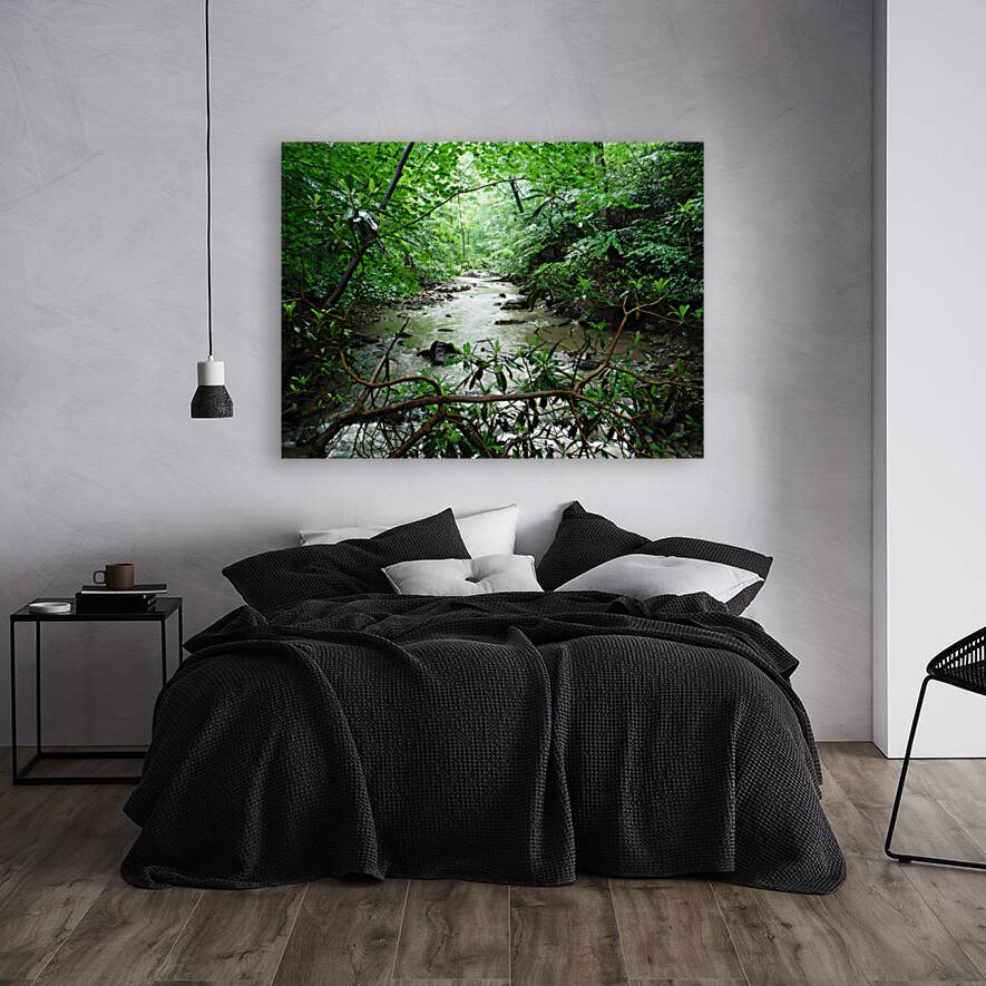 Roaring Run Reproduction