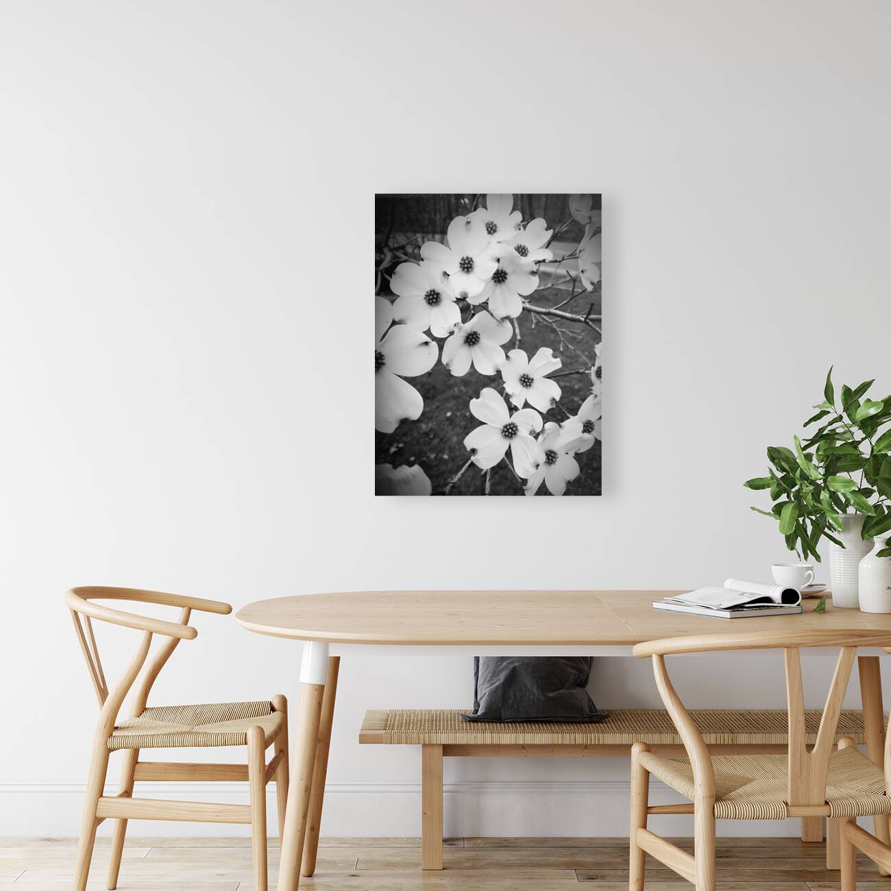 Flowering Dogwood Reproduction