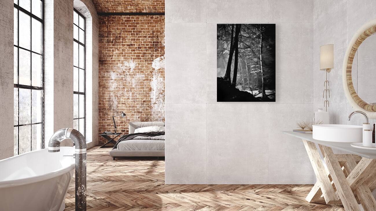 Forest Light Reproduction