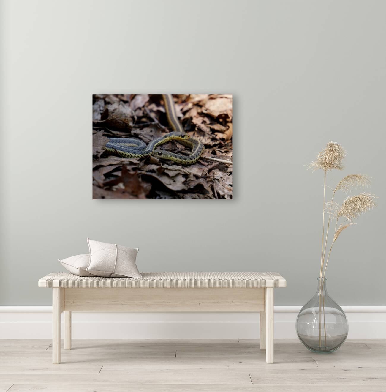 Garter Snakes Reproduction