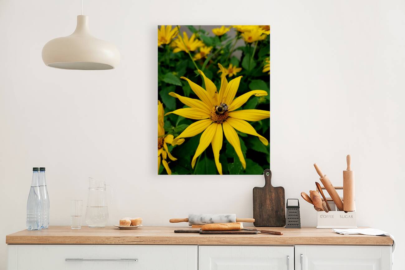 Bumblebee On Helianthus Reproduction