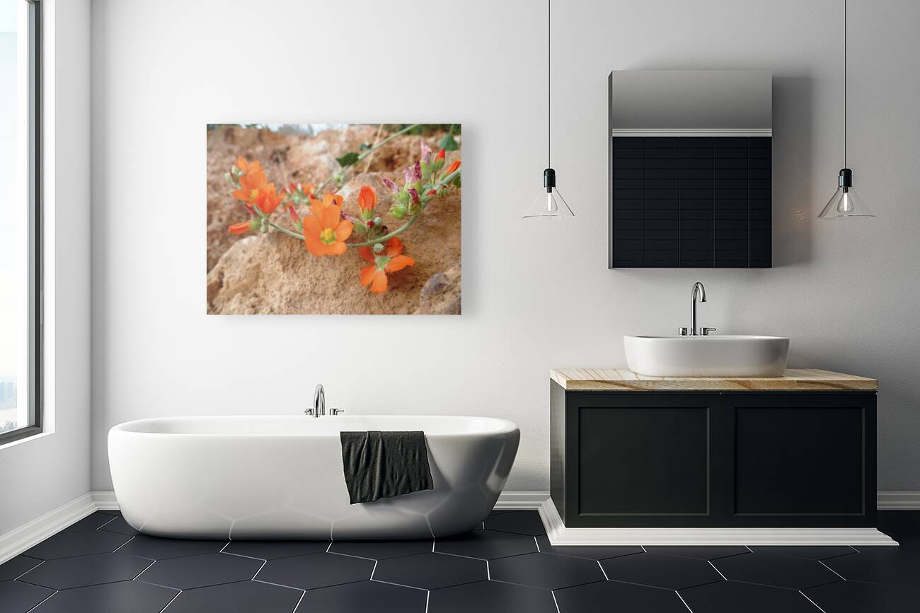 Orange Flowers Reproduction