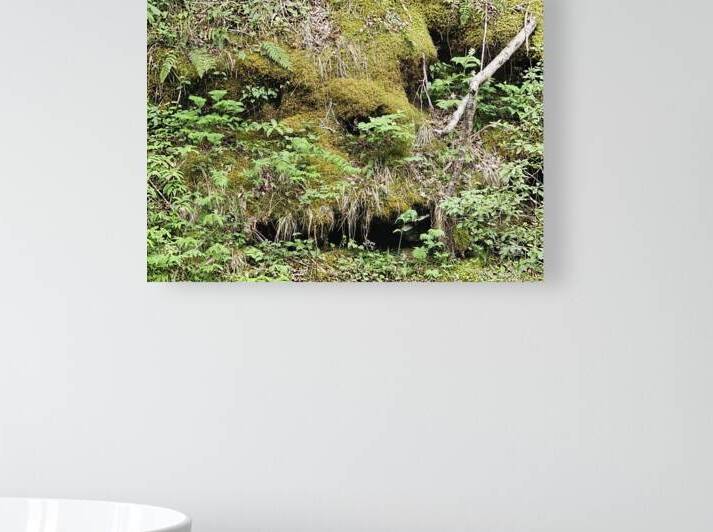 Faces Of The Smokies 5 by Earthshine Emporium