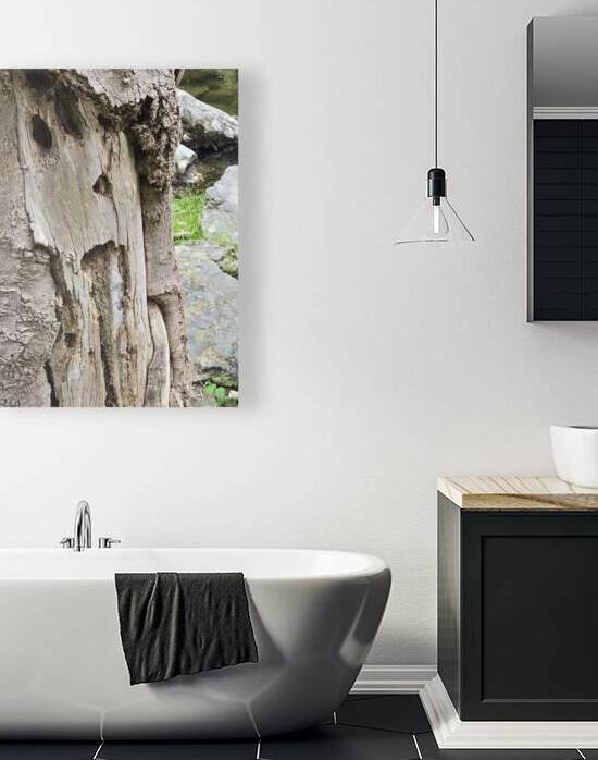 Faces Of The Smokies 4 by Earthshine Emporium