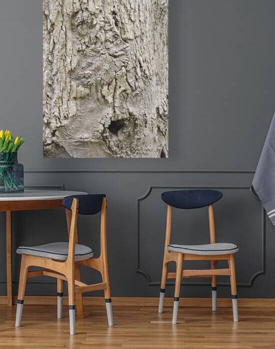 Faces Of The Smokies 3 by Earthshine Emporium