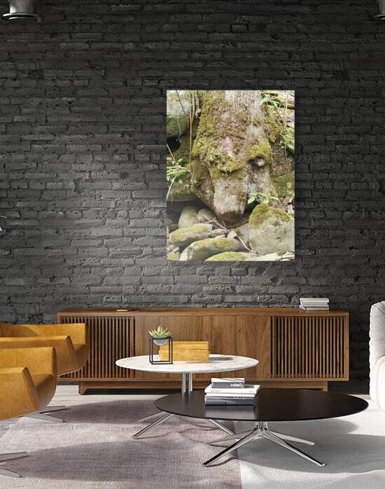 Faces Of The Smokies 1 by Earthshine Emporium