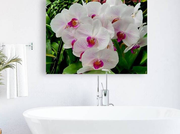 Orchid Cluster by Earthshine Emporium