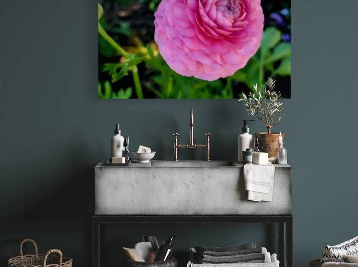 Ranunculus by Earthshine Emporium