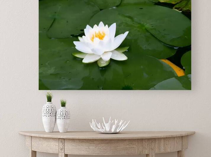 Water Lily 1 by Earthshine Emporium
