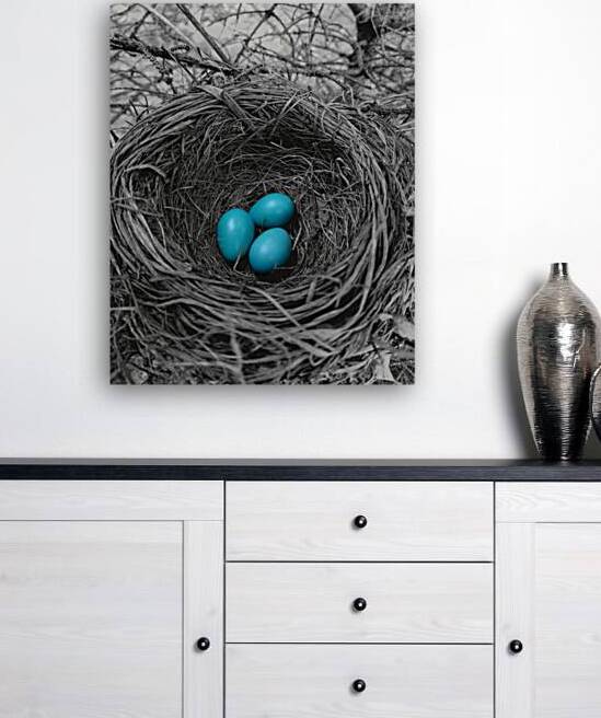 Robin Eggs  by Earthshine Emporium