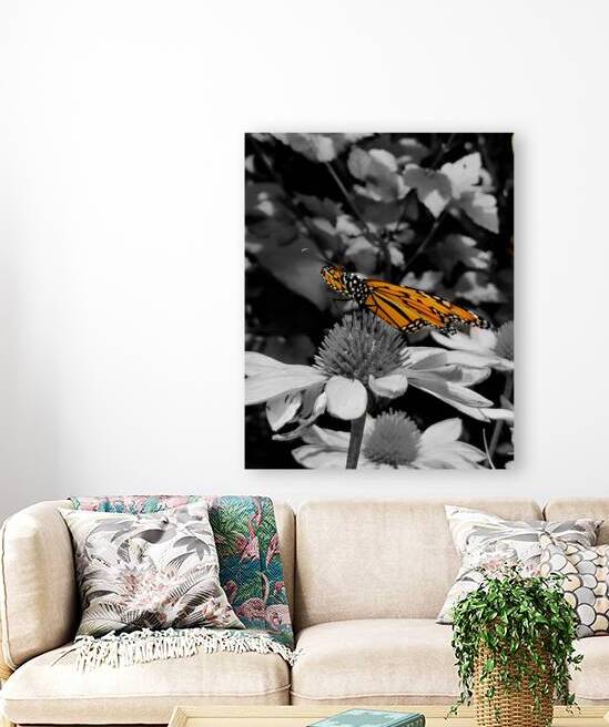 Monarch Butterfly by Earthshine Emporium