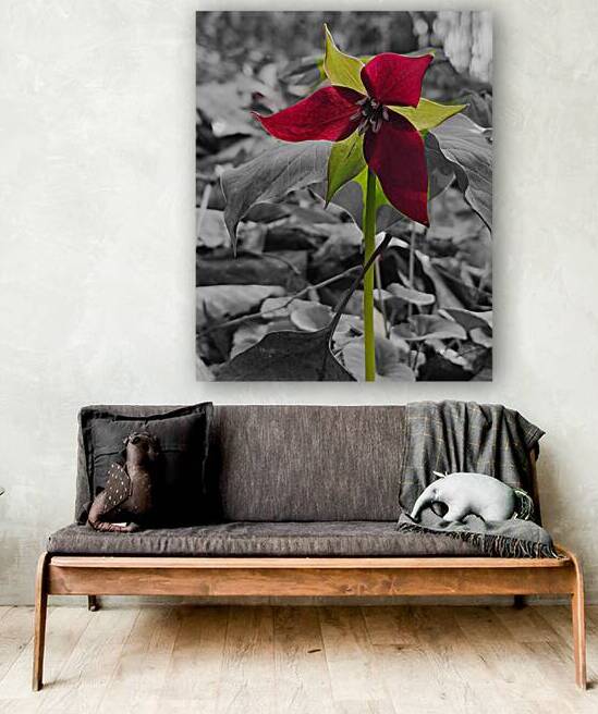 Red Trillium by Earthshine Emporium