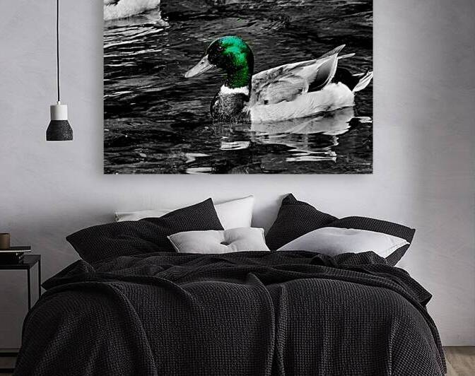 Mallard Duck by Earthshine Emporium