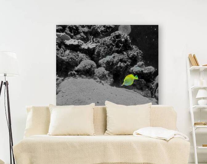 Tropical Fish by Earthshine Emporium