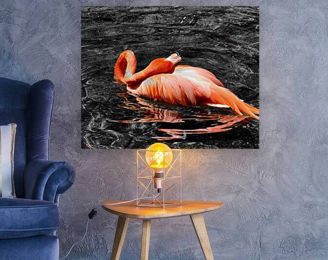 Flamingo Grooming by Earthshine Emporium