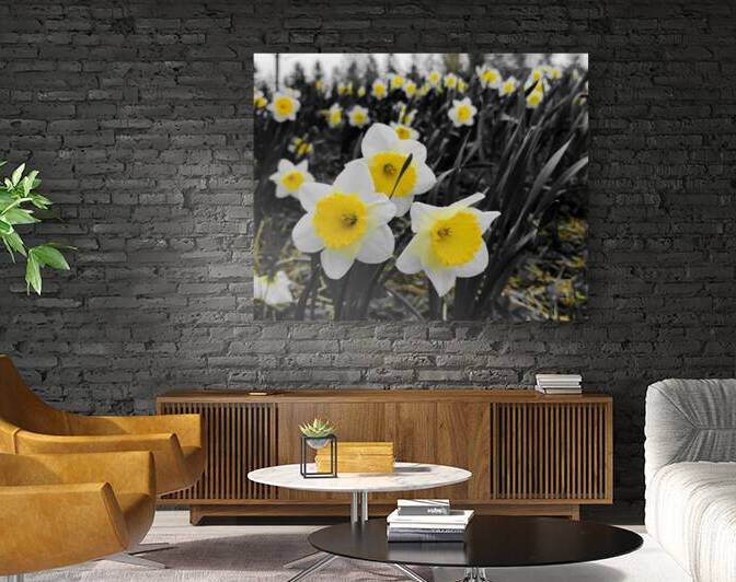 Daffodils by Earthshine Emporium
