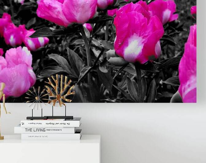 Pink Peonies by Earthshine Emporium