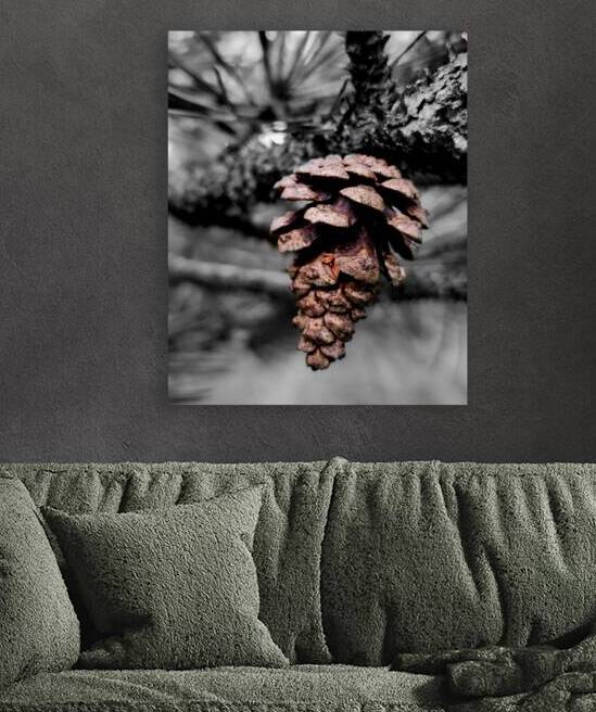 Pinecone by Earthshine Emporium