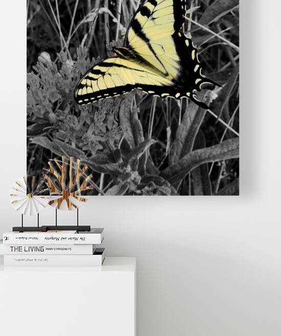 Swallowtail Butterfly by Earthshine Emporium