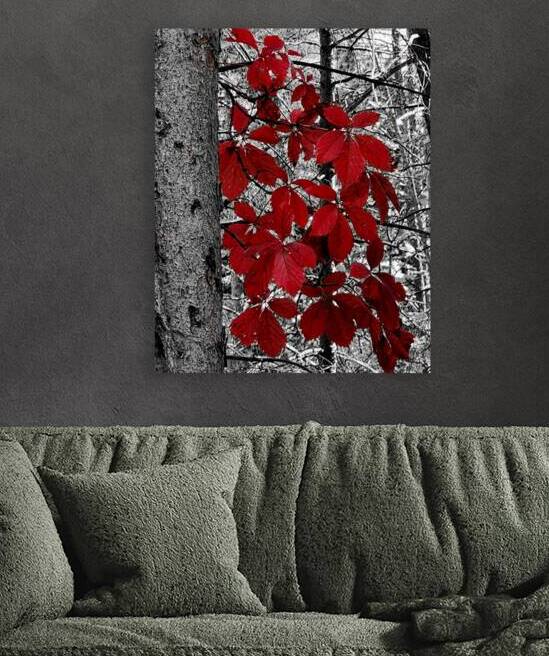 Virginia Creeper by Earthshine Emporium