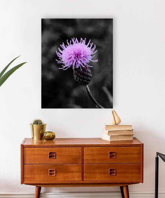 Thistle by Earthshine Emporium