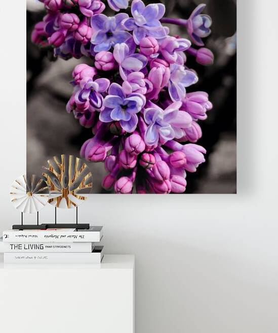 Lilac by Earthshine Emporium