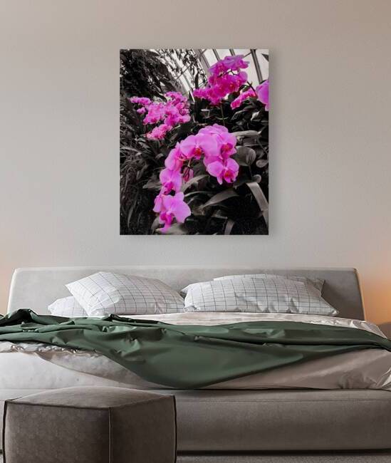 Orchids 2 by Earthshine Emporium