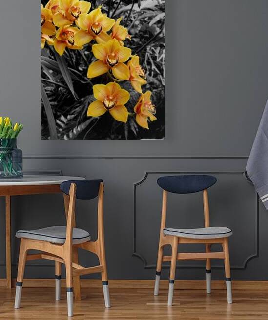 Orchids 3 by Earthshine Emporium