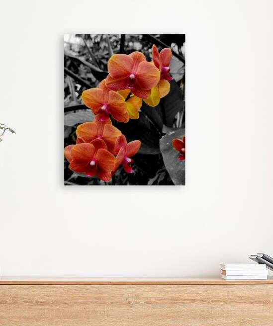 Orchids 4 by Earthshine Emporium