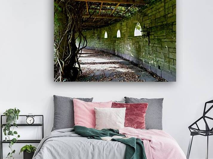 Mt Assisi Garden 1 by Earthshine Emporium