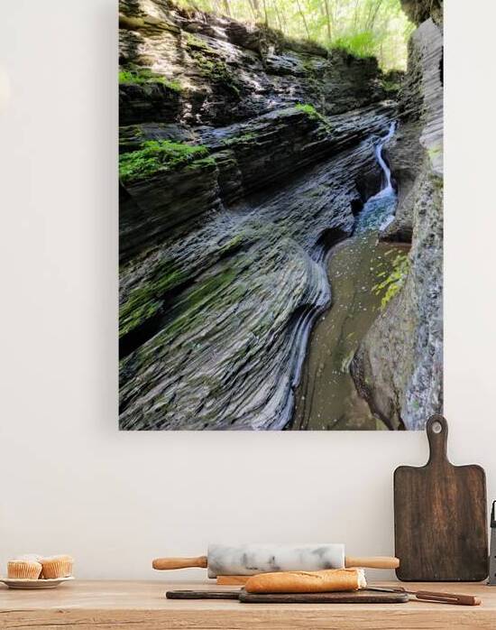 Watkins Glen State Park 2 by Earthshine Emporium