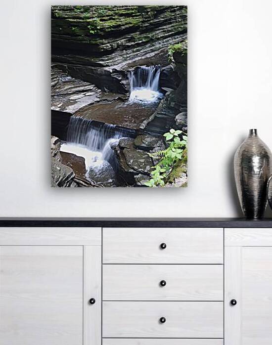 Watkins Glen State Park 1 by Earthshine Emporium