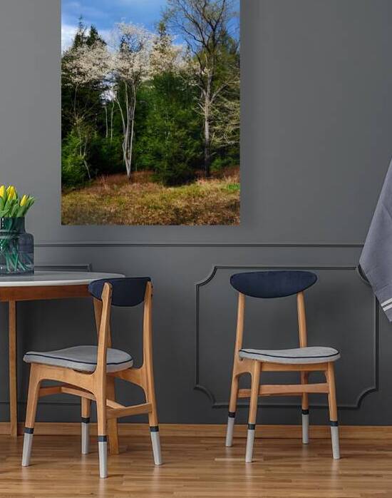 Gallitzin State Forest by Earthshine Emporium