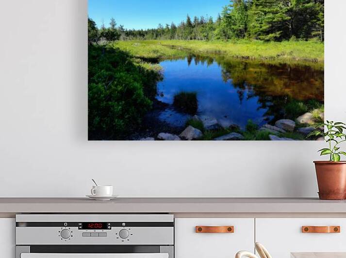 Acadia Wetland by Earthshine Emporium