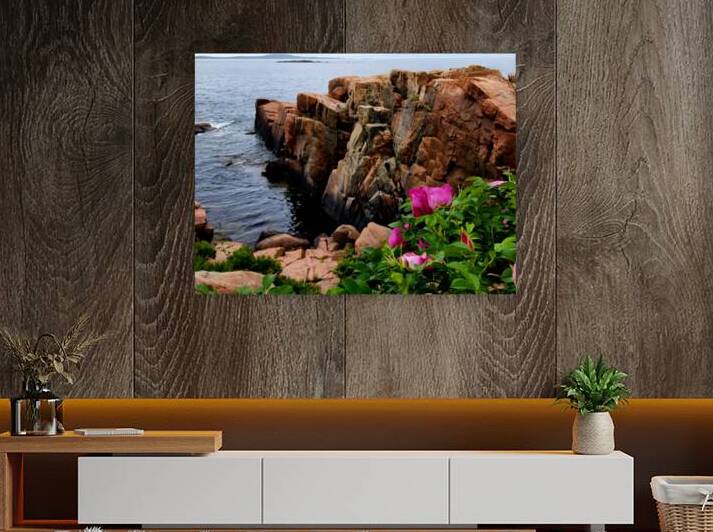 Acadia Coast by Earthshine Emporium